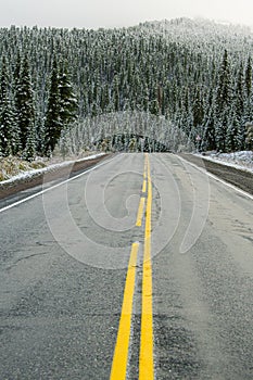 Asphalted wet road with yellow dividing stripes. Danger of ice, slippery pavement