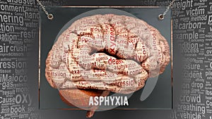 Asphyxia in human brain