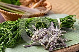 Aspidistra sutep and climbing wattle, Edible flowers in Northern of Thailand