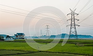 Assam rural landscape, fields