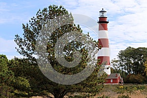 Assateague Island Lighthouse