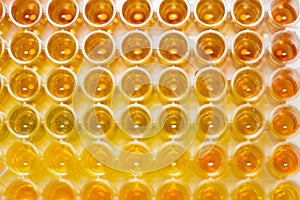 Assay plate 96 well with colourful buffer