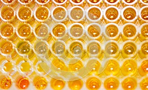 Assay plate 96 well with colourful buffer