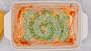 Assemble the lasagna. Spinach lasagna step by step recipe