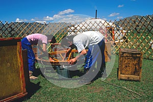 Assembling a yurt, Mongolia