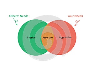 The assertiveness which is combines of aggressive and passive