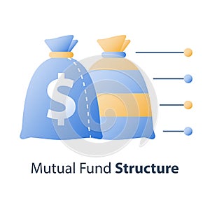 Asset diversification, investment fund structure, mutual fund concept, financial solution, capital distribution