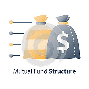 Asset diversification, investment fund structure, mutual fund concept, financial solution, capital distribution