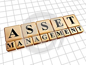 Asset management in golden cubes photo
