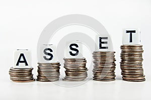Asset â€“ Business Concept