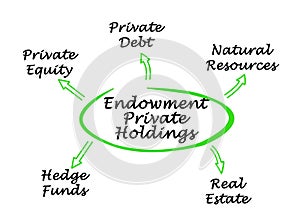 Assets in Endowment Private Holdings