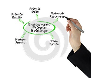 Assets in Endowment Private Holdings