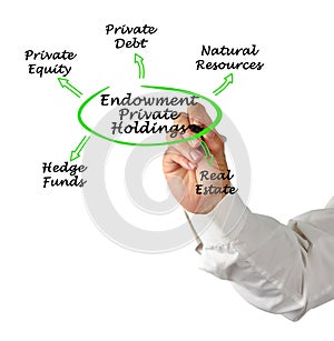 Assets in Endowment Private Holdings