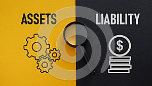 Assets and liability are shown using the text