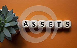 Assets symbol. Concept word Assets on wooden cubes. Beautiful orange background with succulent plant. Business and Assets concept