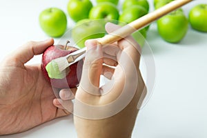 Assimilation or integration concept