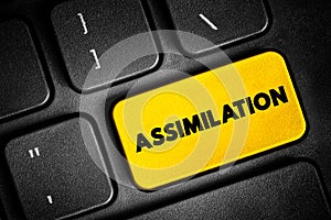 Assimilation - process whereby individuals or groups of differing ethnic heritage are absorbed into the dominant culture of a photo