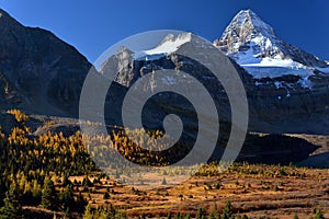 Assiniboine Mountain at sunset in the fall