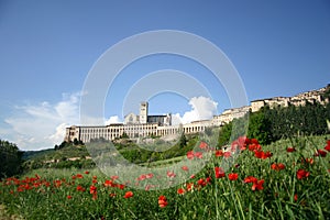 Assisi in spring