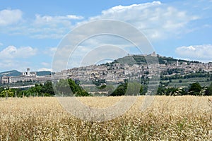 Assisi - Umbria - Italy - Europe