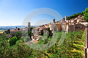 Assisi view