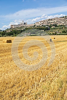 Assisi village in Umbria region, Italy. The town is famous for the most important Italian Basilica dedicated to St. Francis - San