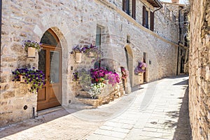 Assisi village in Umbria region, Italy. The town is famous for the most important Italian Basilica dedicated to St. Francis - San