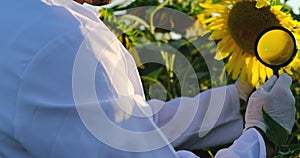 assistant wearing gloves and white coat working in the field magnifying glass