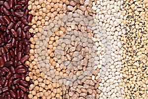 Assorted beans in a row