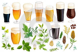 Assorted beer glasses with fresh hops and ingredients set on white background