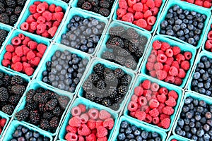 Assorted berries in baskets at farmers market.