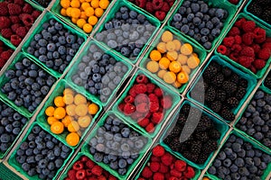 Assorted berries in baskets at farmers market