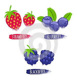 Assorted berries set vector illustration.