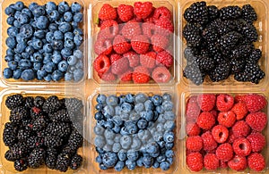 Assorted Berries on wood background