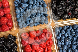 Assorted Berries on wood background