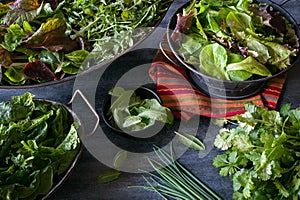 Assorted bowls filled with a variety of freshly harvested leafy greens photo