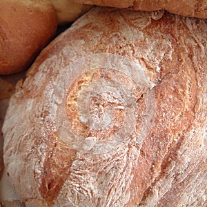 Assorted bread in a bakery