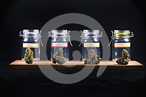 Assorted cannabis bud strains and glass jars - medical marijuana