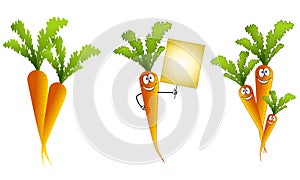 Assorted Cartoon Carrots