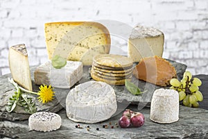 Assorted cheeses in various shapes and sizes