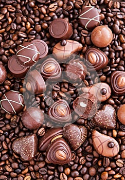 Assorted chocolate pralines on coffee beans background