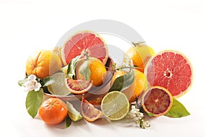 Assorted of citrous fruit photo