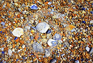 Assorted colorful beach pebbles closeup