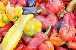 Assorted colors of sweet bell peppers