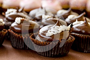 Assorted Cupcakes on Display