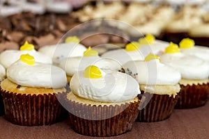 Assorted Cupcakes on Display