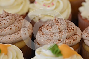 Assorted Cupcakes with frosting and decorations on display at bakery