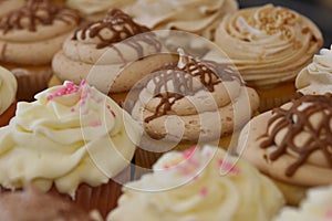 Assorted Cupcakes with frosting and decorations on display at bakery