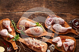 Assorted cuts and portions of raw chicken photo