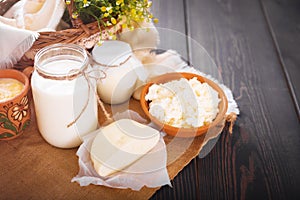 Assorted dairy products milk, yogurt, cottage cheese, sour cream. Rustic still life.